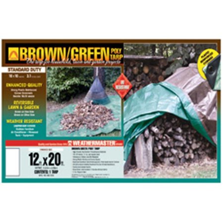 DIZE 12 ft x 20 ft Tarp, Brown/Green BG1220D